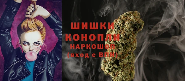 spice Кинешма