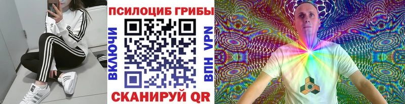 Псилоцибиновые грибы мухоморы  Купить где  Гулькевичи 